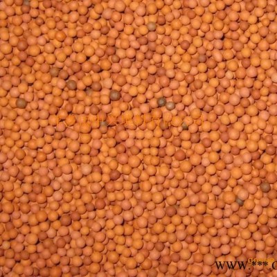 珠海瑞林牌 生物陶粒濾料價格/惠州生物陶粒濾料廠家