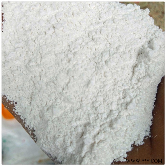 辰洋供應鈣粉 白云石粉白云沙子 白云石粉填充 量大優惠
