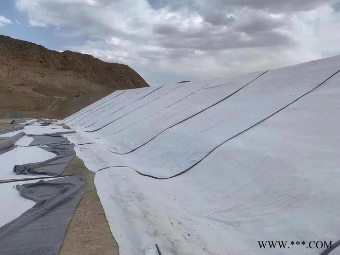 廠家供應人工湖GCL膨潤土防水毯 垃圾填埋場覆膜膨潤土防水毯