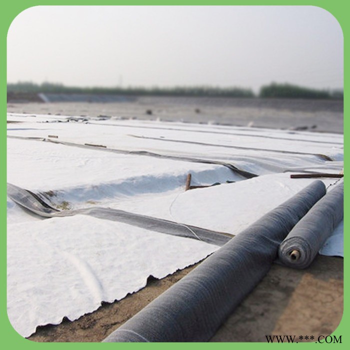 鈉基膨潤(rùn)土防水毯  水泥毯 直銷(xiāo)