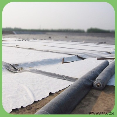 鈉基膨潤(rùn)土防水毯  水泥毯 直銷(xiāo)
