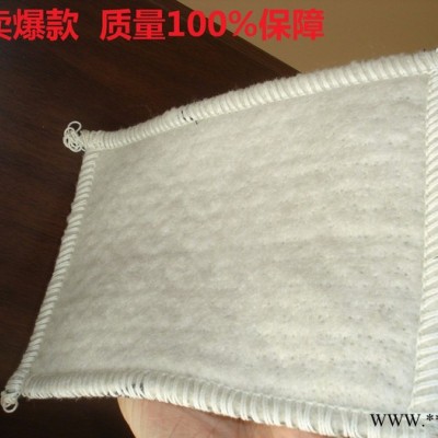 復合土工膨潤土防水毯  山東膨潤土防水毯