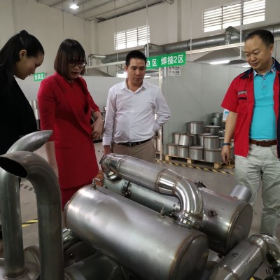 貝斯特煤層氣/瓦斯氣/頁巖氣發電機組煙氣脫硝設備 燃氣發電機脫硝