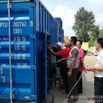 500W玉柴燃氣發電機組 天然氣煤制氣頁巖氣沼氣發電機組 玉柴燃氣發動機 煤礦油氣田專用發電機 500W玉柴燃氣發電機組