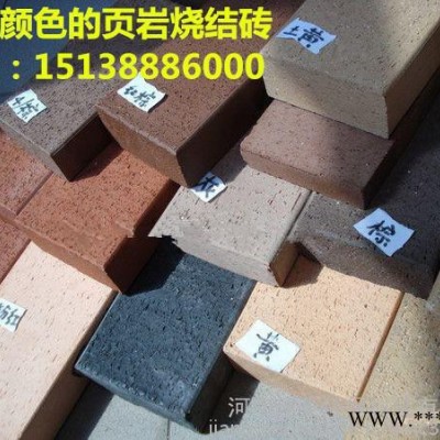 全國供應建菱牌200*100*50吸水耐磨防滑**頁巖燒結(jié)磚