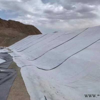 膨潤土防水毯 批發人工湖垃圾填埋場防滲用膨潤土防水毯 銳宸供應品質保障