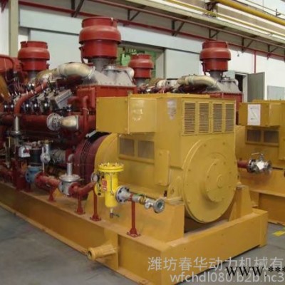 勝動700KW燃氣發電機 天然氣頁巖氣沼氣發電機 濟柴系列燃氣發動機 煤礦油氣田伴生氣發電機  瓦斯氣生物質氣發電機