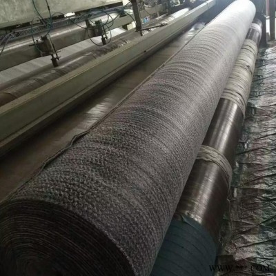 國(guó)標(biāo)4800g膨潤(rùn)土防水毯 GCL防水毯 納基膨潤(rùn)土防水毯 防水毯 防滲墊