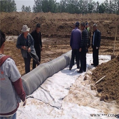 防水毯廠家定制生產 人工湖GCL鈉基膨潤土防水毯 垃圾填埋場覆膜防水毯