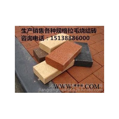 全國供應河南建菱200*100*50防火耐磨環(huán)保頁巖燒結(jié)磚廣場磚