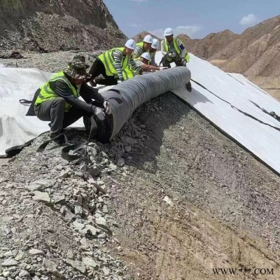 廠家定制生產人工湖河道防滲用膨潤土防水毯 垃圾鎮埋場防滲 復合防水毯