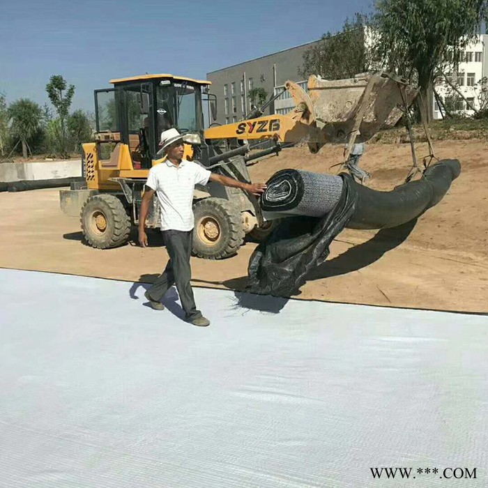 鑫宇防水毯 膨潤土防水毯 GCL膨潤土防水毯廠家定制 GCL覆膜膨潤土防水毯