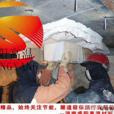頁巖磚隧道窯保溫吊頂用陶瓷纖維模塊