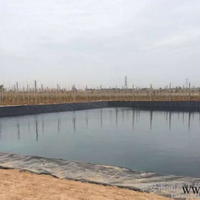 泰安潤(rùn)鑫 全新料土工膜 廠家直供 山西省大同市 1.0mm沼氣池防滲膜 膨潤(rùn)土防水毯蓄水池土工膜 定制生產(chǎn) 量大價(jià)優(yōu)
