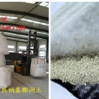 天然膨潤土防水毯 高膨脹性鈉基膨潤土防水毯 人工湖膨潤土防水