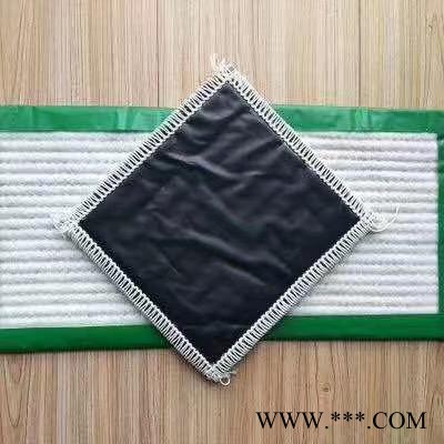 天仁新材料 覆膜膨潤土防水毯 垃圾填埋場專業(yè)復(fù)合膨潤土防水毯 廠家 規(guī)格齊全