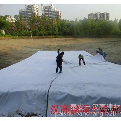 南長區膨潤土防水毯,江陰膨潤土防水毯