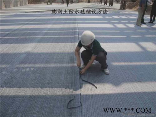 膨潤土防水毯價格,膨潤土防水毯,中瑞土工材料