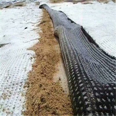 天然鈉基膨潤土防水毯