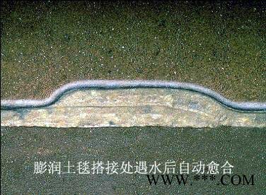 膨潤土防水毯  防水毯