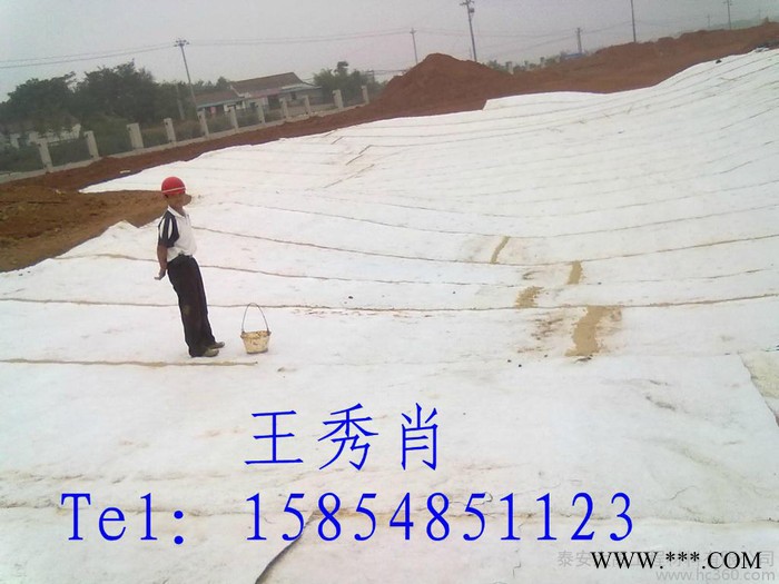 供應大禹膨潤土防水毯 成都膨潤防水毯供應
