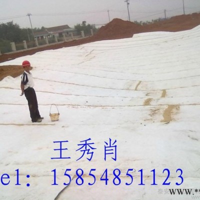 供應大禹膨潤土防水毯 成都膨潤防水毯供應