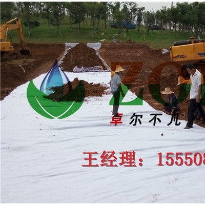 湖北膨潤(rùn)土防水毯丨覆膜防水毯丨土工布**量大優(yōu)惠