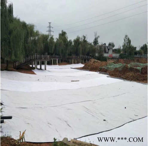 宏瑞廠家定制 防水毯 膨潤土防水毯 防水毯廠家