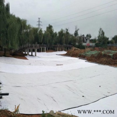 宏瑞廠家定制 防水毯 膨潤土防水毯 防水毯廠家