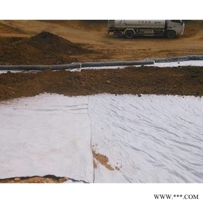凡奧 防水毯 膨潤土防水毯  水利水庫堤壩防滲用防水毯