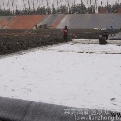 聯眾廠家生產防水毯，針刺法鈉基膨潤土防水毯、針刺覆膜法鈉基膨潤土防水毯，膠粘法鈉基膨潤土防水毯