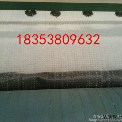 覆膜型膨潤土防水毯生產(chǎn)廠家山東泰安宏源