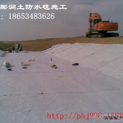 GCL納基膨潤土防水毯廠家供應4000g-6000g防水毯價格合理