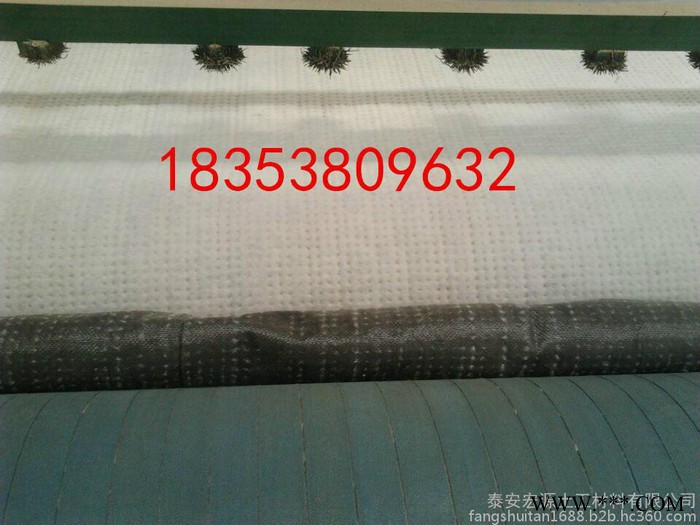 泰安膨潤(rùn)土防水毯生產(chǎn)廠家宏源