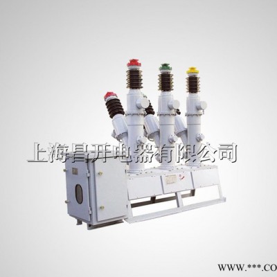 LW3-10Ⅰ ⅡⅢ型戶外高壓六氟硫斷路器 LW3 六氟硫斷