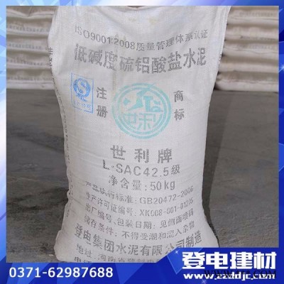 供應鄭州登電特種工程材料堵漏專用硫鋁水泥