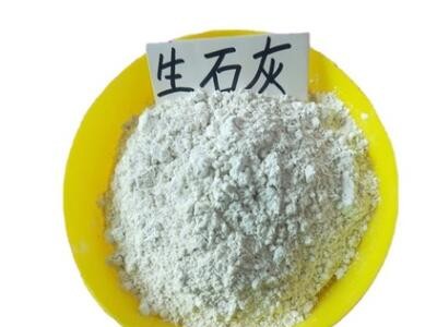 山西運城酸堿調節生石灰塊 樹木保暖石灰粉 修建房屋石灰粉 現貨