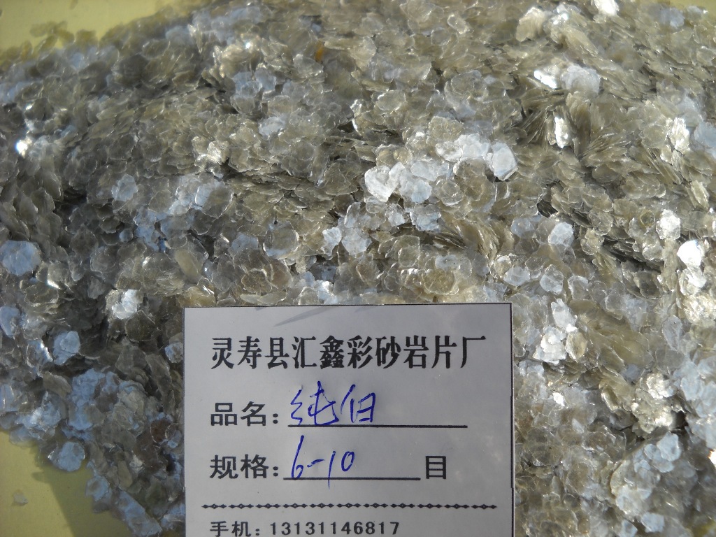 復件 DSCN0927