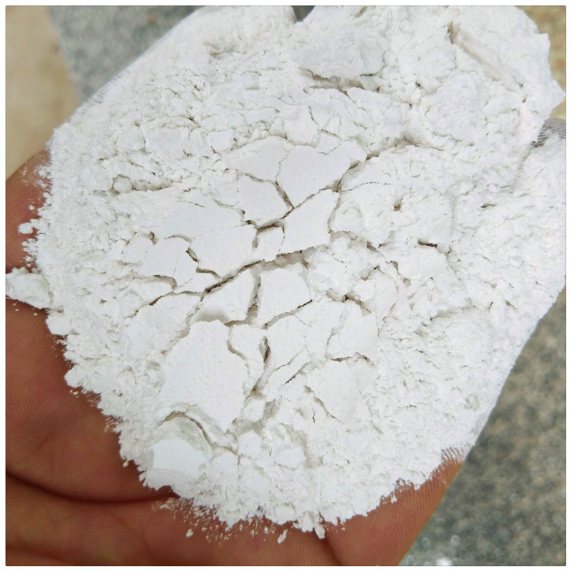 辰洋供應滑石粉 陶瓷級白云石粉 煅燒滑石粉 現貨