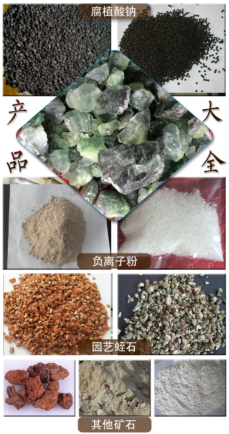 公司實力