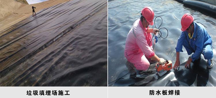 產品介紹 條