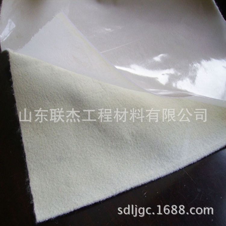 復(fù)合土工膜