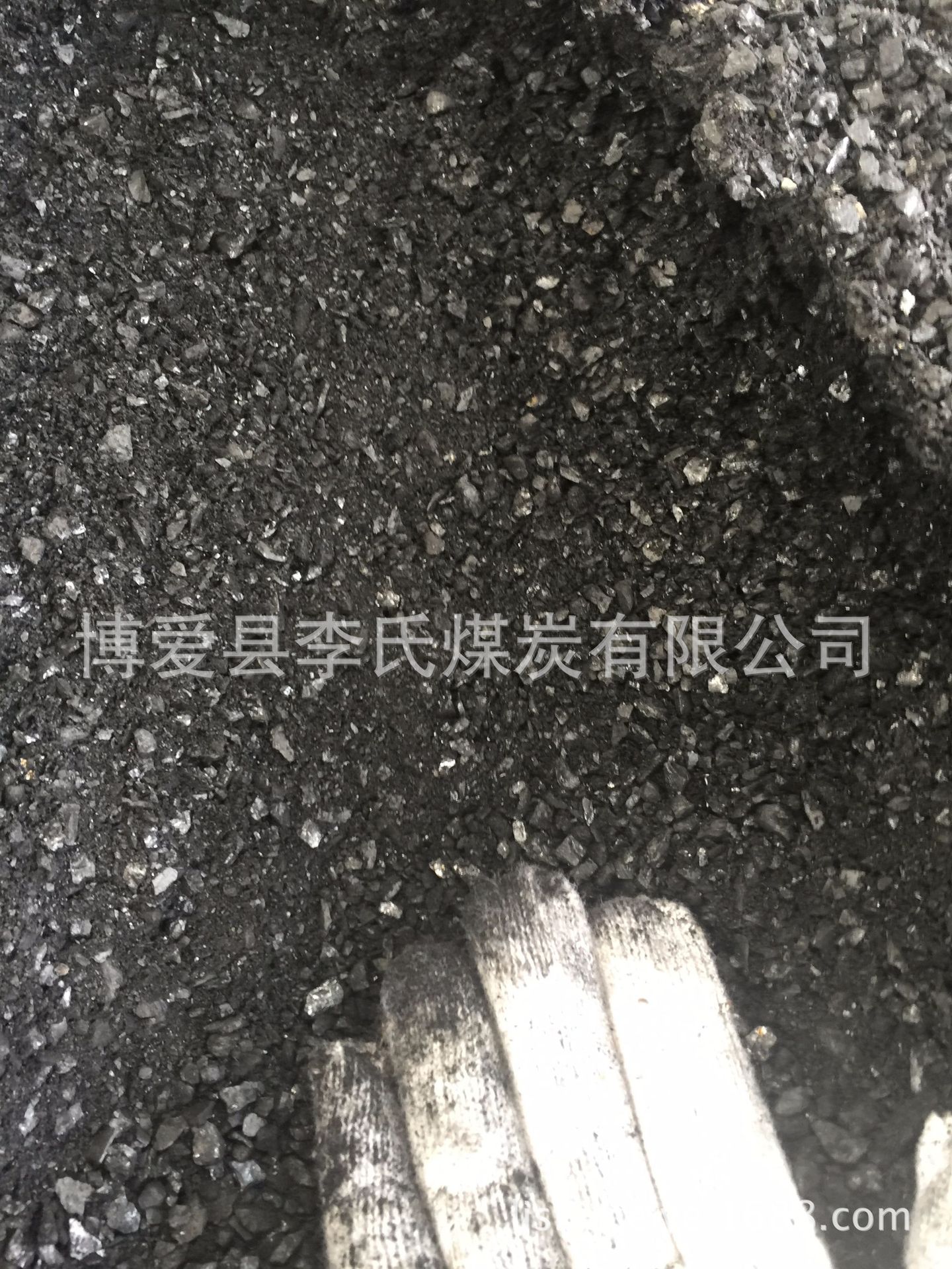 神木煤沫6