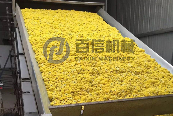 皇菊烘干機現場-1