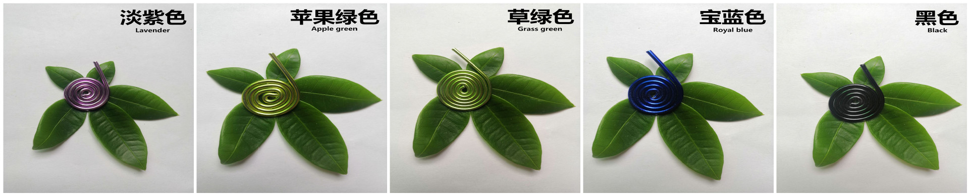 QQ圖片008117132705_副本_副本