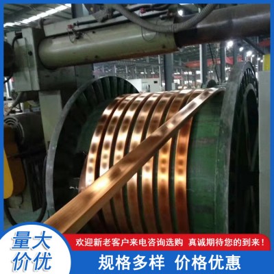 紫銅排可折彎 電力用鍍錫鍍鎳導電純銅排 現貨批發廠家