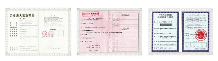 執照